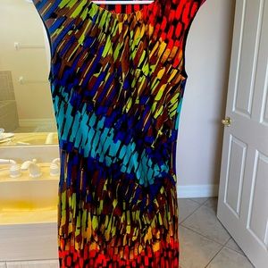 Ellen Tracy Dress